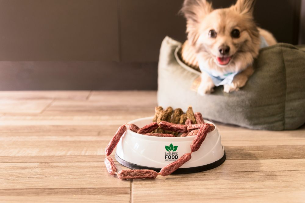 Allt du bör veta om hundfoder