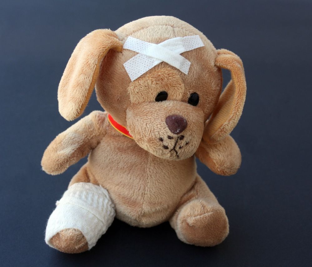 Veterinär göteborg  så väljer du rätt vård för ditt djur